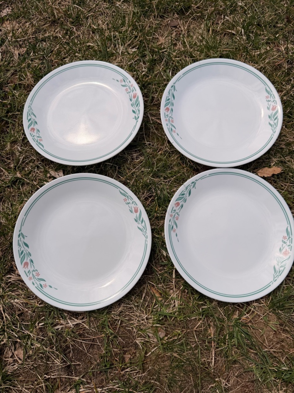Corelle rosemarie lunch Plates with Pink Floral and Green Leaf Border - Set of 4